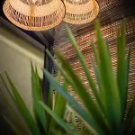 Hotel Delfino Caorle